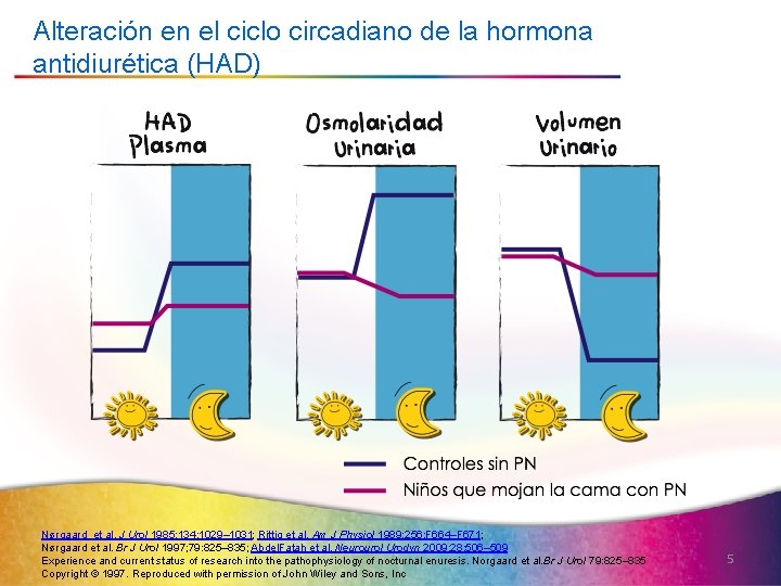 Alteración en el ciclo circadiano de la hormona antidiurética (HAD) Nørgaard et al. J