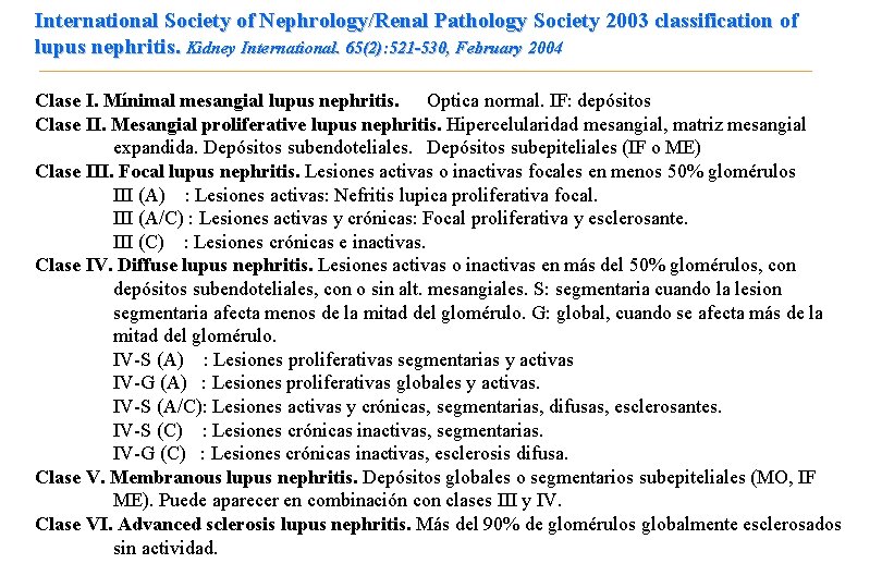 International Society of Nephrology/Renal Pathology Society 2003 classification of lupus nephritis. Kidney International. 65(2):