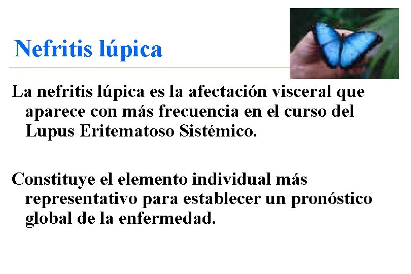 Nefritis lúpica La nefritis lúpica es la afectación visceral que aparece con más frecuencia