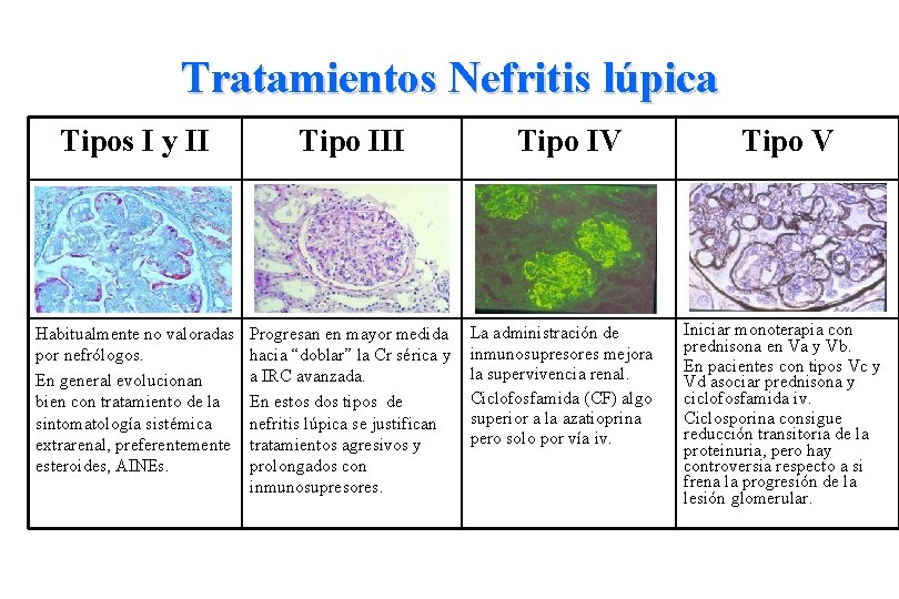 Tratamientos Nefritis lúpica Tipos I y II Tipo III Habitualmente no valoradas por nefrólogos.