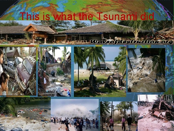 This is what the Tsunami did 