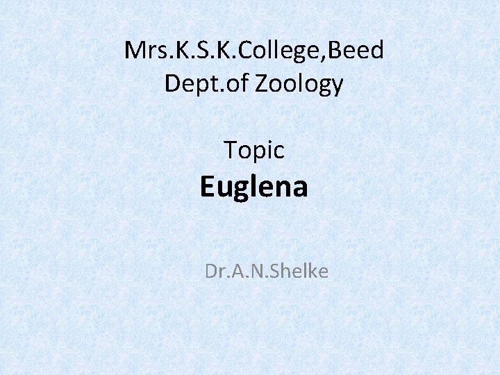 Mrs. K. S. K. College, Beed Dept. of Zoology Topic Euglena Dr. A. N.