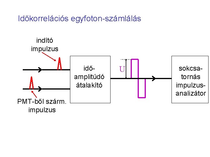 Időkorrelációs egyfoton-számlálás indító impulzus időamplitúdó átalakító PMT-ből szárm. impulzus U sokcsatornás impulzusanalizátor 