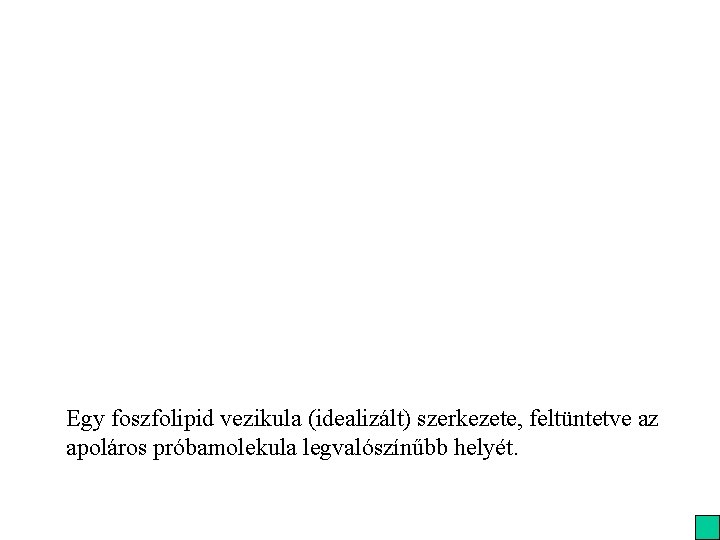 Egy foszfolipid vezikula (idealizált) szerkezete, feltüntetve az apoláros próbamolekula legvalószínűbb helyét. 