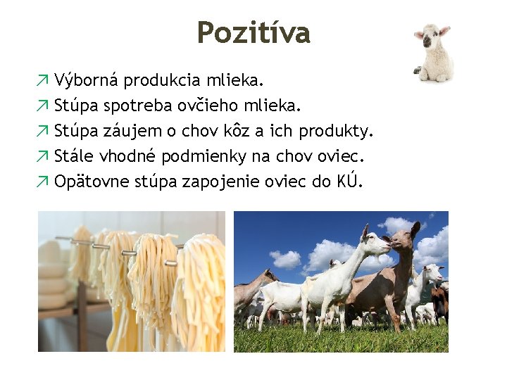 Pozitíva ↗ Výborná produkcia mlieka. ↗ Stúpa spotreba ovčieho mlieka. ↗ Stúpa záujem o