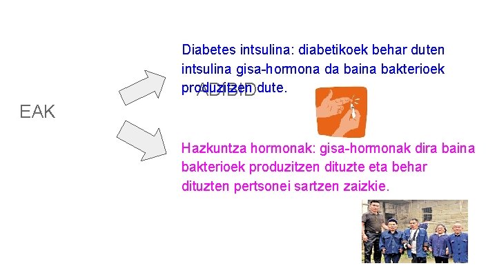 Diabetes intsulina: diabetikoek behar duten intsulina gisa-hormona da baina bakterioek produzitzen ADIBIDdute. EAK Hazkuntza