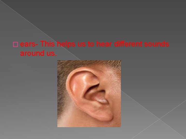 � ears- This helps us to hear different sounds around us. 