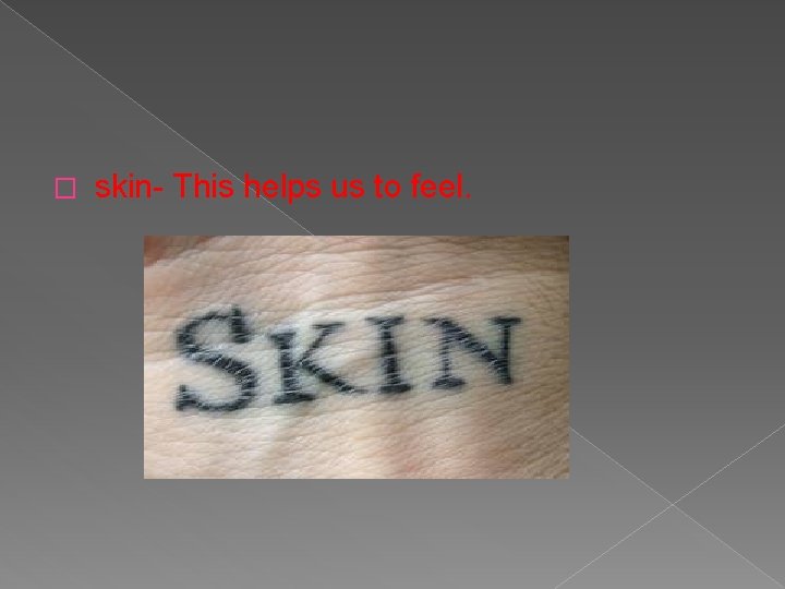 � skin- This helps us to feel. 