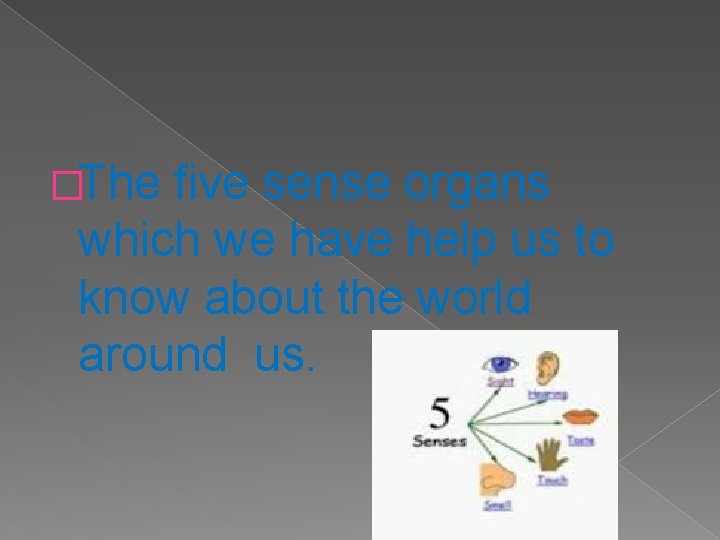 �The five sense organs which we have help us to know about the world