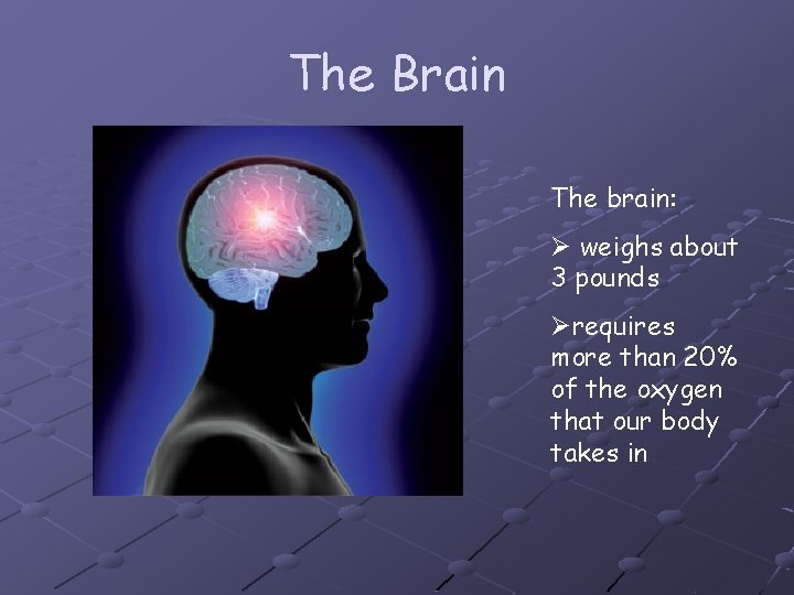 The Brain The brain: Ø weighs about 3 pounds Ørequires more than 20% of