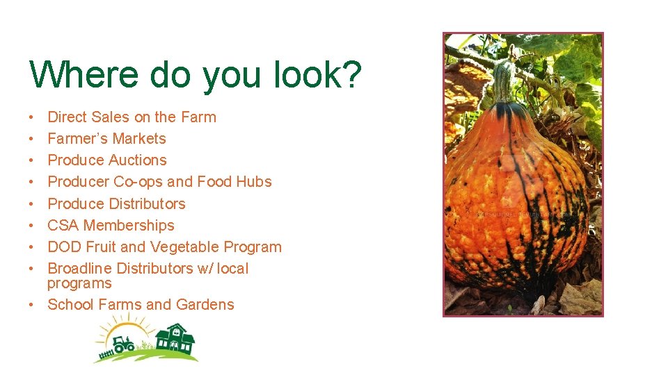 Where do you look? • • Direct Sales on the Farmer’s Markets Produce Auctions