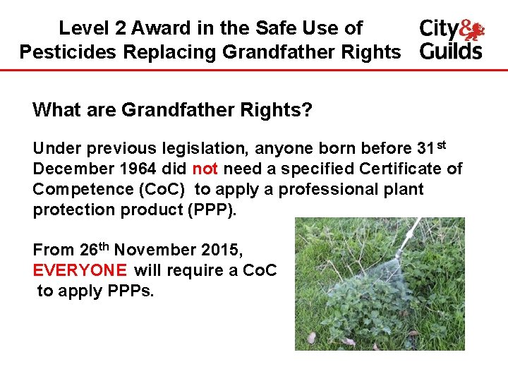 Level 2 Award in the Safe Use of Pesticides Replacing Grandfather Rights What are