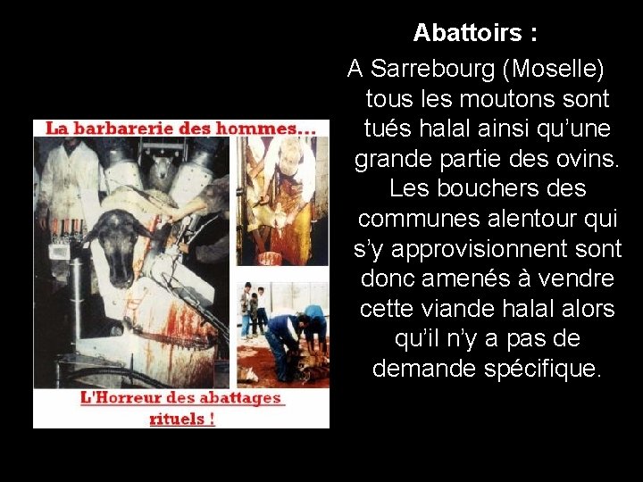 Abattoirs : A Sarrebourg (Moselle) tous les moutons sont tués halal ainsi qu’une grande