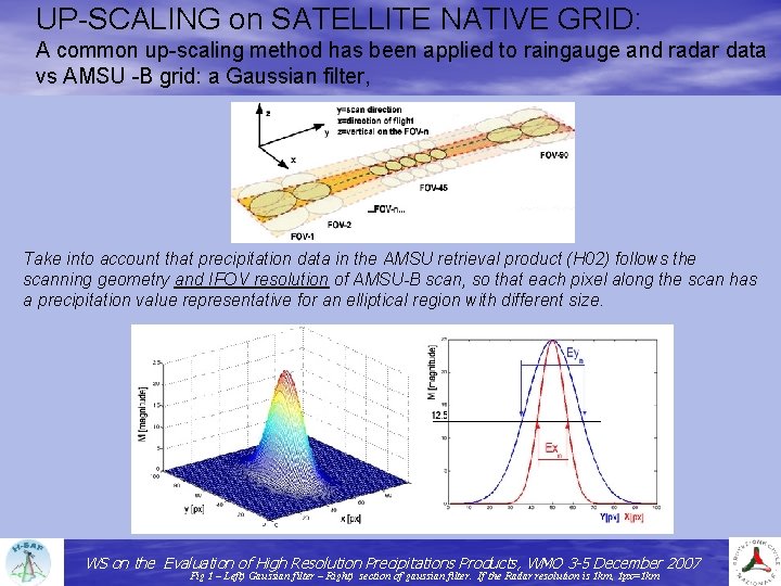 UP-SCALING on SATELLITE NATIVE GRID: A common up-scaling method has been applied to raingauge