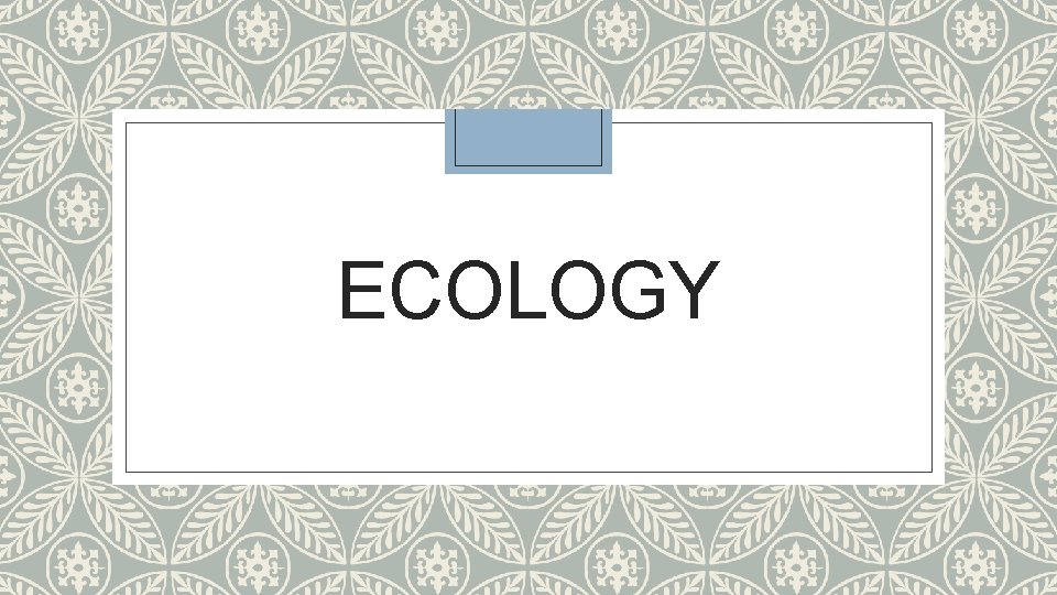 ECOLOGY 