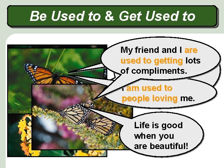 Be Used to & Get Used to My. Today friend andis. I are life