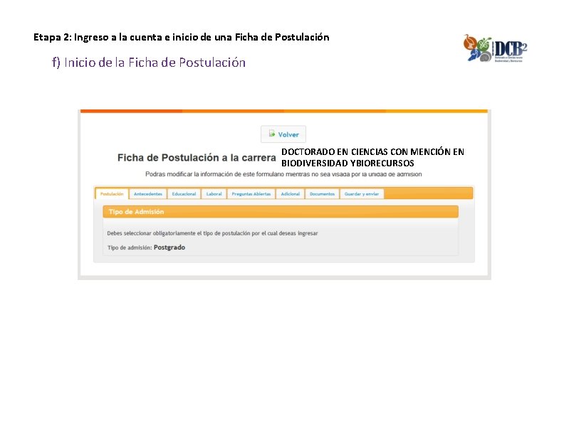 Etapa 2: Ingreso a la cuenta e inicio de una Ficha de Postulación f)