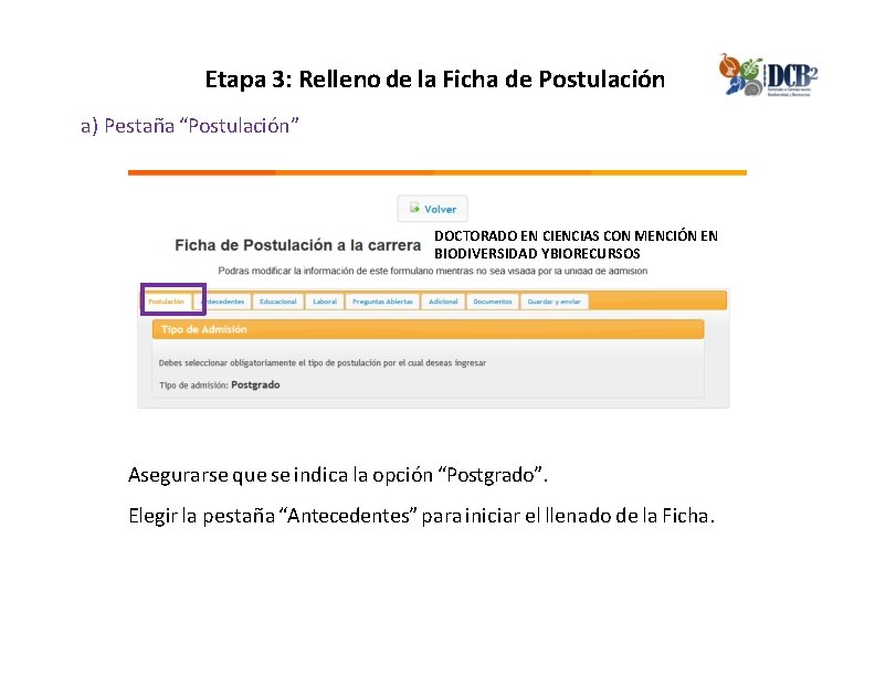 Etapa 3: Relleno de la Ficha de Postulación a) Pestaña “Postulación” DOCTORADO EN CIENCIAS