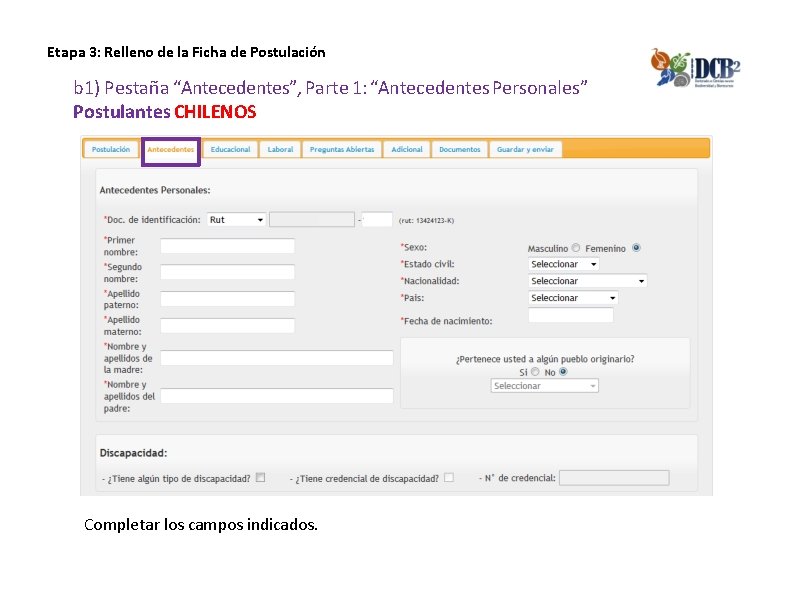Etapa 3: Relleno de la Ficha de Postulación b 1) Pestaña “Antecedentes”, Parte 1:
