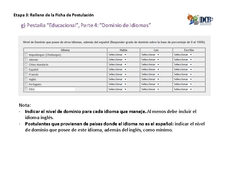 Etapa 3: Relleno de la Ficha de Postulación g) Pestaña “Educacional”, Parte 4: “Dominio