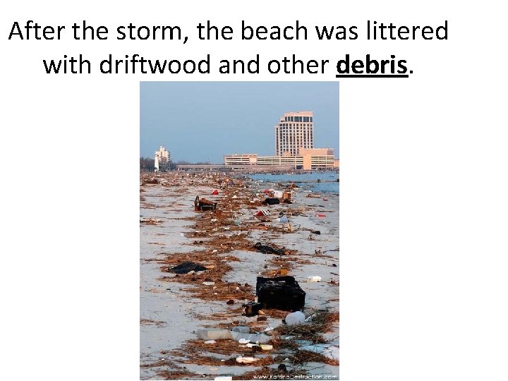 After the storm, the beach was littered with driftwood and other debris. 
