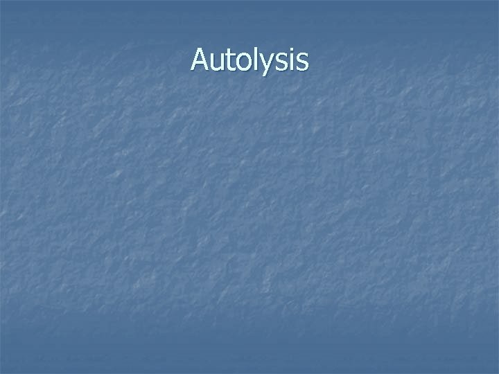 Autolysis 