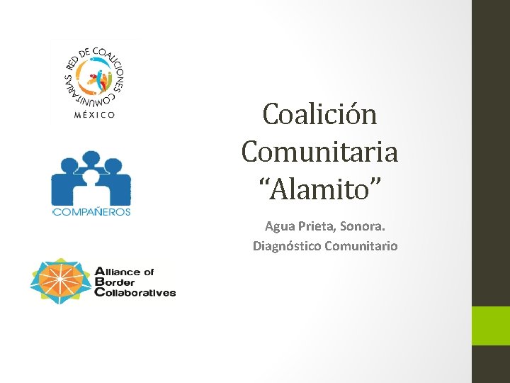 Coalición Comunitaria “Alamito” Agua Prieta, Sonora. Diagnóstico Comunitario 