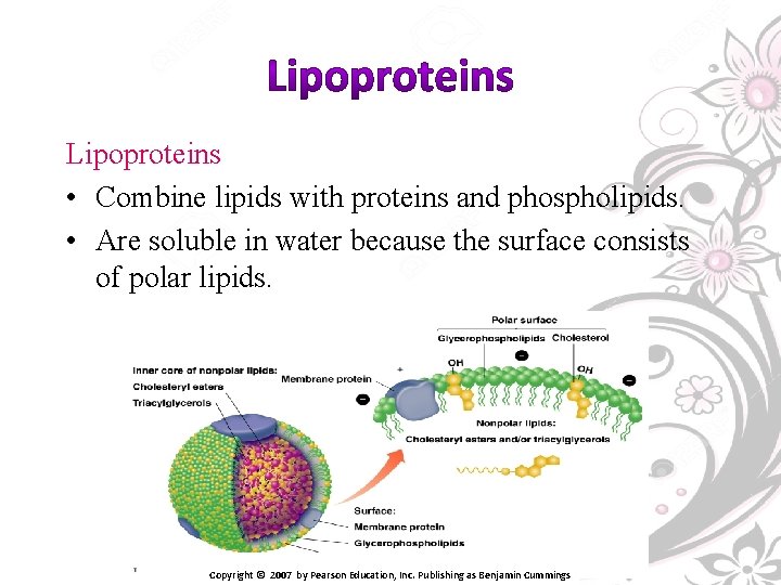 Lipoproteins • Combine lipids with proteins and phospholipids. • Are soluble in water because