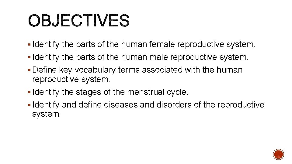 § Identify the parts of the human female reproductive system. § Identify the parts