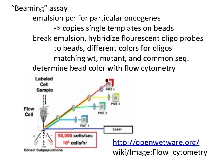 Class 12 DNA sequencing and cancer DNA pol