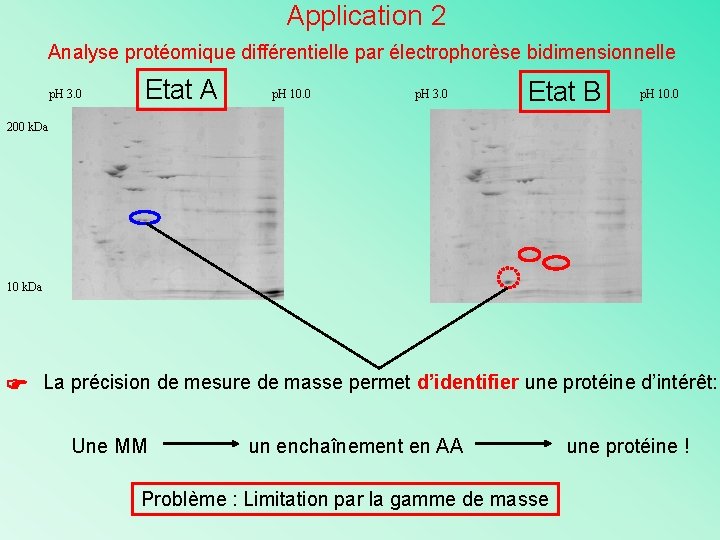 Application 2 Analyse protéomique différentielle par électrophorèse bidimensionnelle p. H 3. 0 Etat A