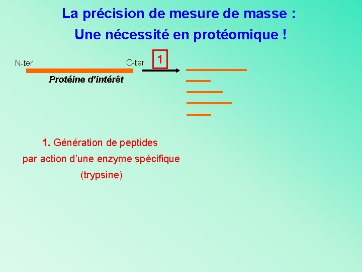 La précision de mesure de masse : Une nécessité en protéomique ! C-ter N-ter