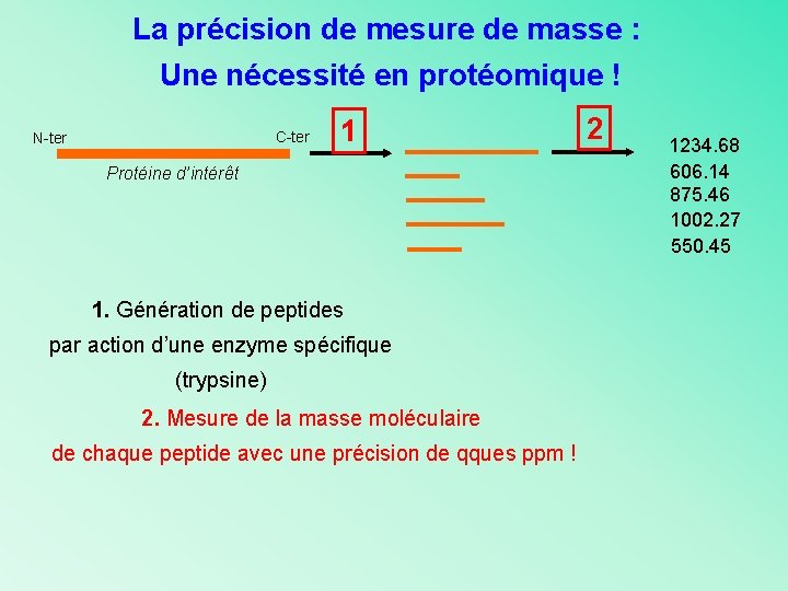 La précision de mesure de masse : Une nécessité en protéomique ! C-ter N-ter