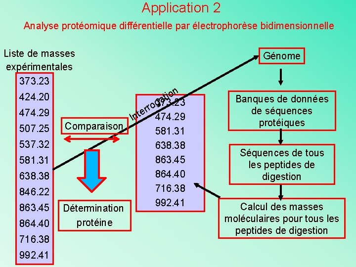 Application 2 Analyse protéomique différentielle par électrophorèse bidimensionnelle Liste de masses expérimentales 373. 23