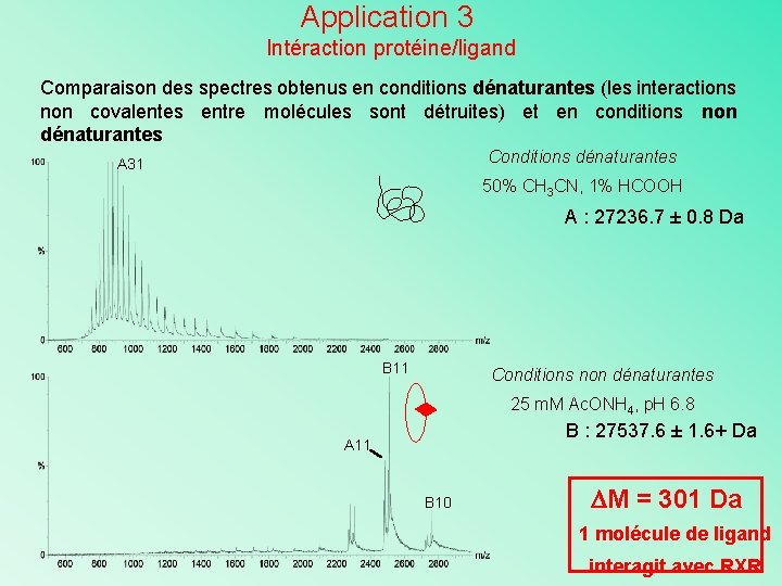 Application 3 Intéraction protéine/ligand Comparaison des spectres obtenus en conditions dénaturantes (les interactions non