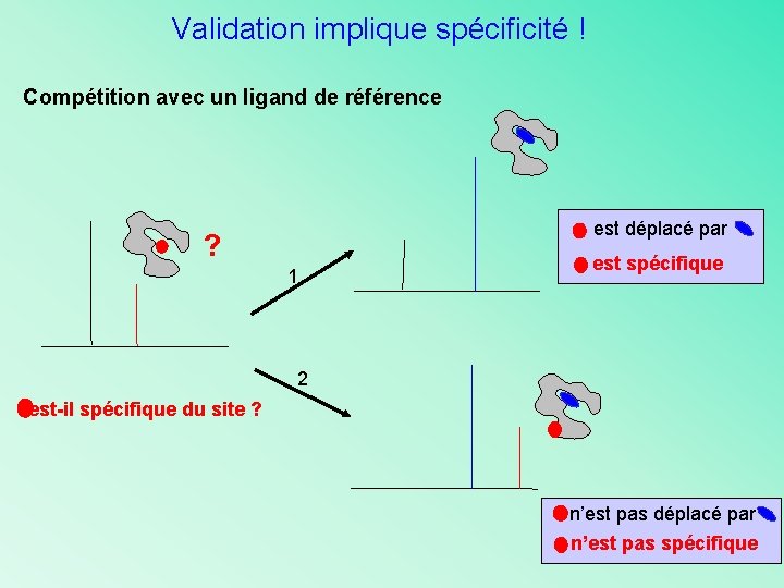 Validation implique spécificité ! Compétition avec un ligand de référence est déplacé par ?