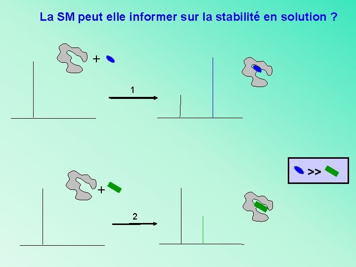 La SM peut elle informer sur la stabilité en solution ? + 1 >>