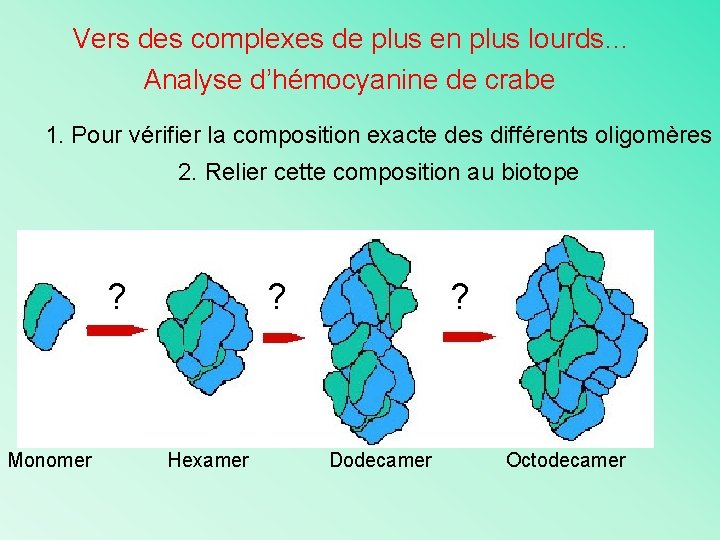 Vers des complexes de plus en plus lourds… Analyse d’hémocyanine de crabe 1. Pour