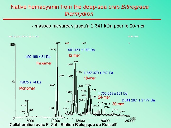Native hemacyanin from the deep-sea crab Bithograea thermydron - masses mesurées jusqu’à 2 341