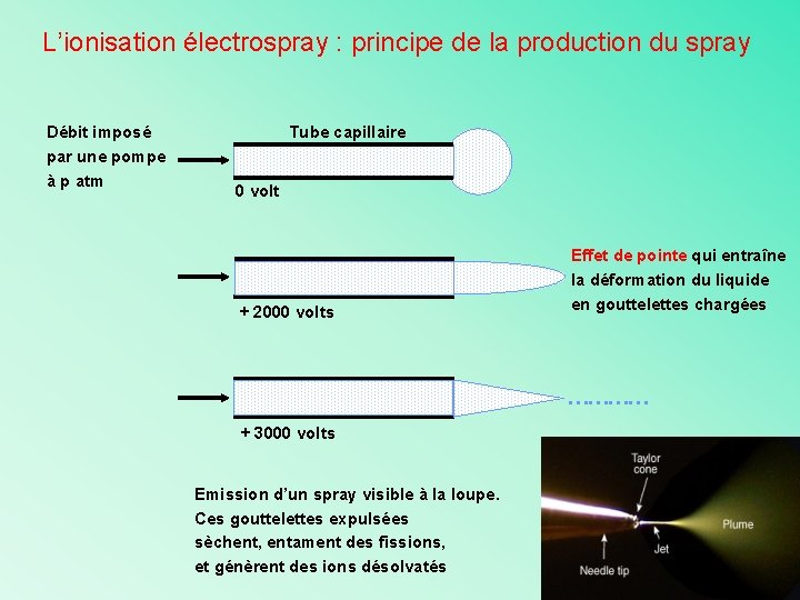 L’ionisation électrospray : principe de la production du spray Débit imposé par une pompe