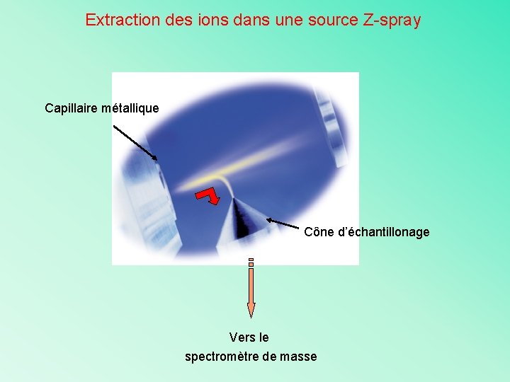 Extraction des ions dans une source Z-spray Capillaire métallique Cône d’échantillonage Vers le spectromètre