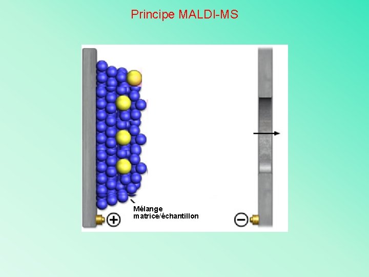 Principe MALDI-MS Mélange matrice/échantillon 