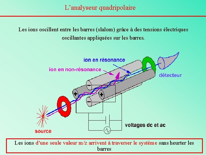 L’analyseur quadripolaire Les ions oscillent entre les barres (slalom) grâce à des tensions électriques
