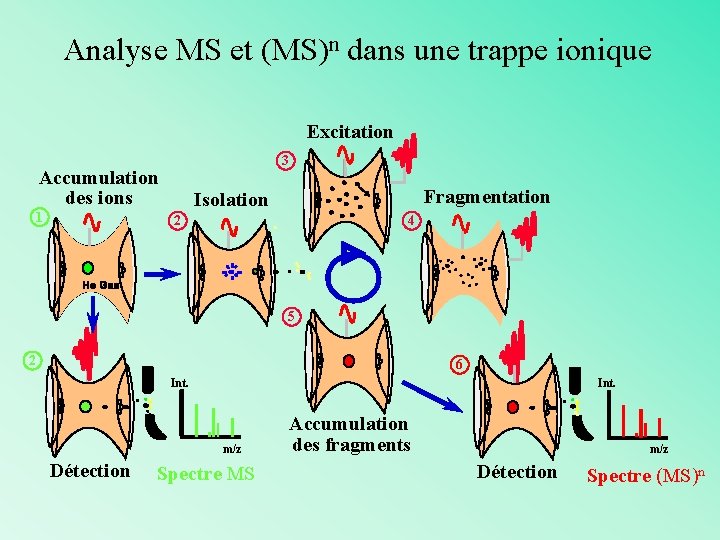 Analyse MS et (MS)n dans une trappe ionique Excitation 3 Accumulation des ions 1