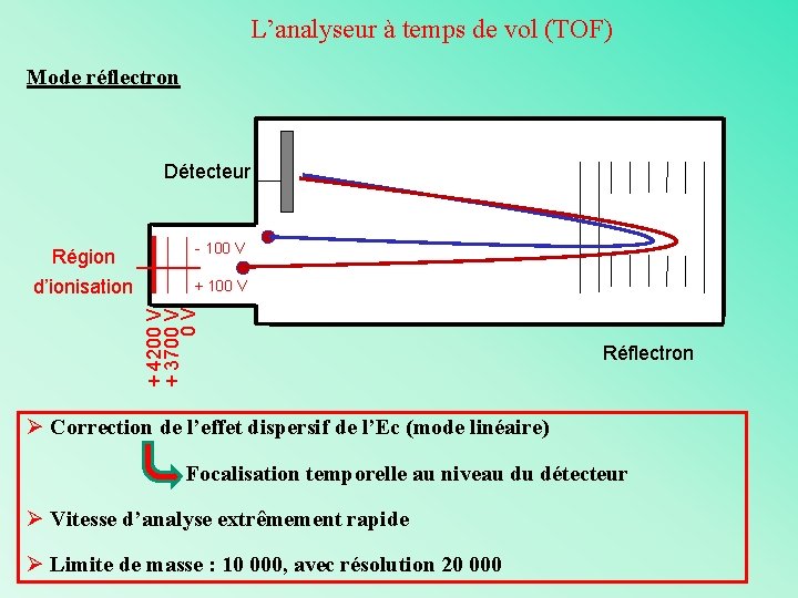 L’analyseur à temps de vol (TOF) Mode réflectron Détecteur - 100 V + 4200