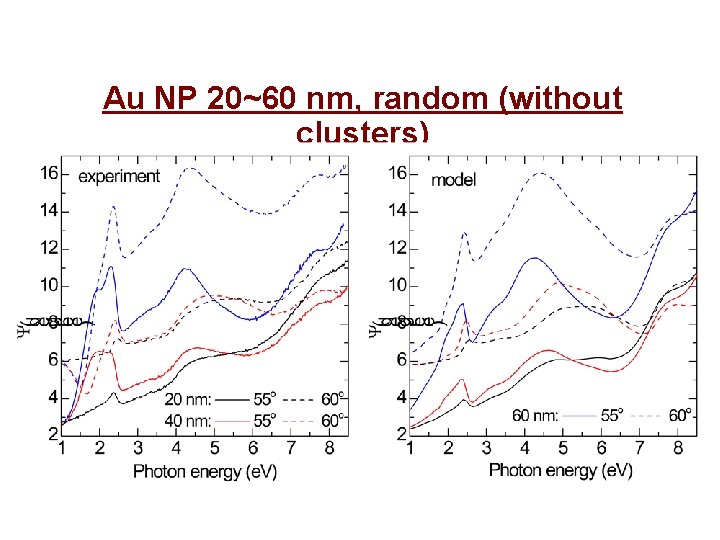 Au NP 20~60 nm, random (without clusters) 