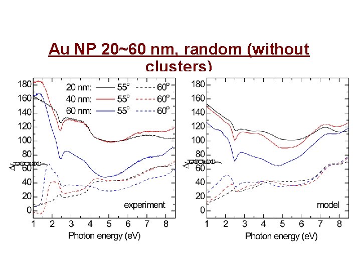 Au NP 20~60 nm, random (without clusters) 