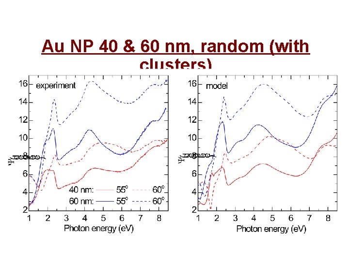 Au NP 40 & 60 nm, random (with clusters) 