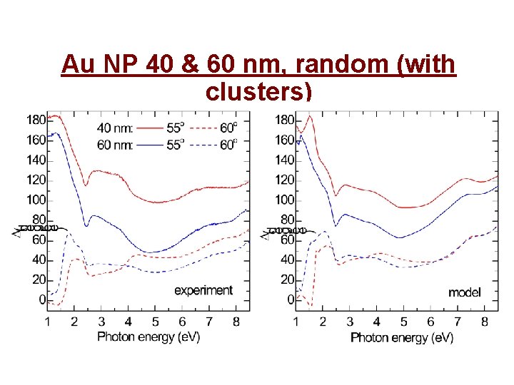 Au NP 40 & 60 nm, random (with clusters) 