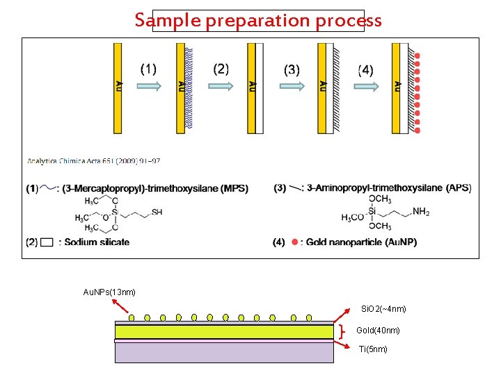 Sample preparation process Au. NPs(13 nm) Si. O 2(~4 nm) Gold(40 nm) Ti(5 nm)